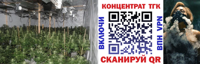 где купить наркоту  Ленинградская  ТГК гашишное масло 